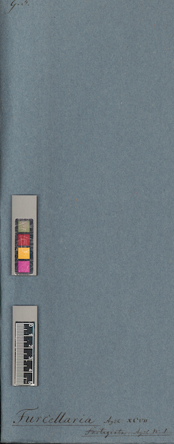 LE A0004730