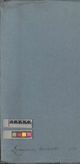 LE A0004733