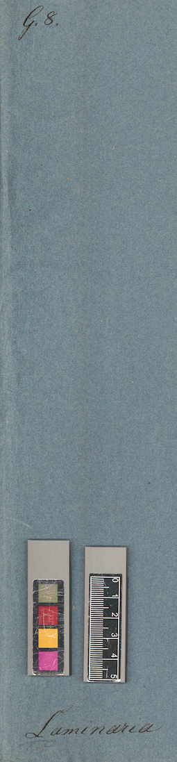 LE A0004734