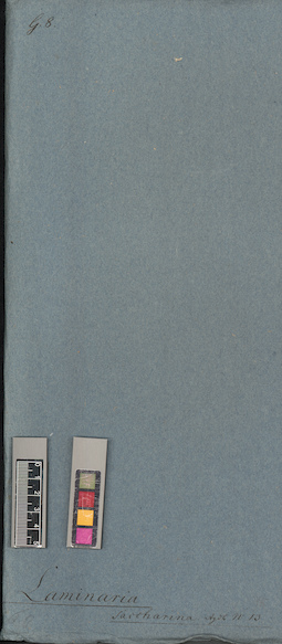 LE A0004735