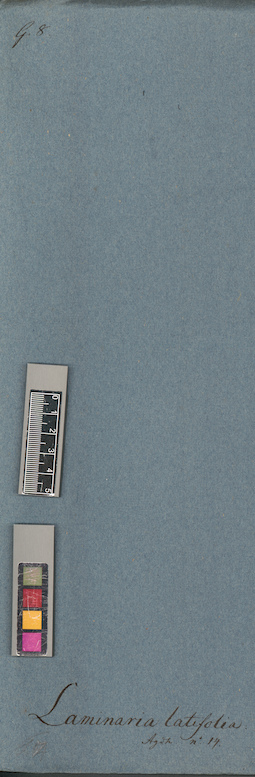LE A0004752