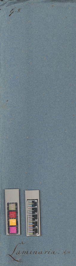 LE A0004754