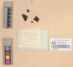LE A0004805