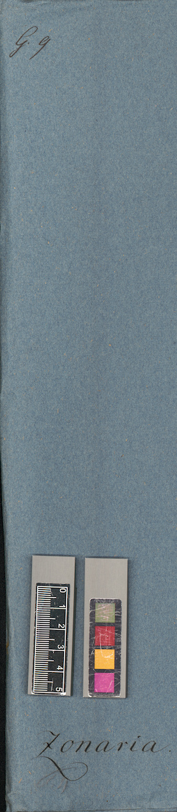 LE A0004866
