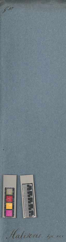 LE A0004881