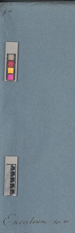 LE A0004897
