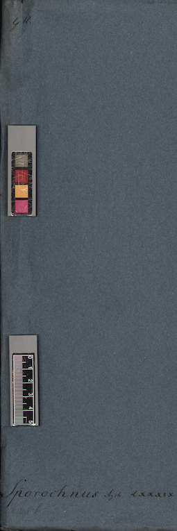 LE A0005161