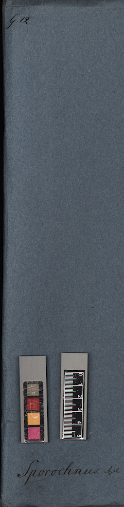 LE A0005207