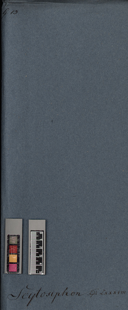 LE A0005243