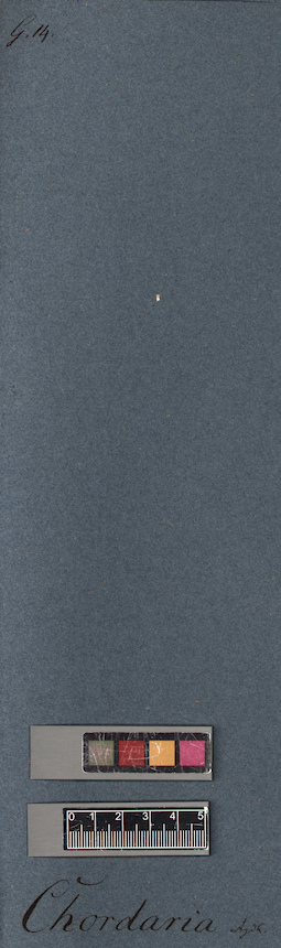 LE A0005277