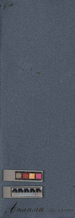 LE A0005325