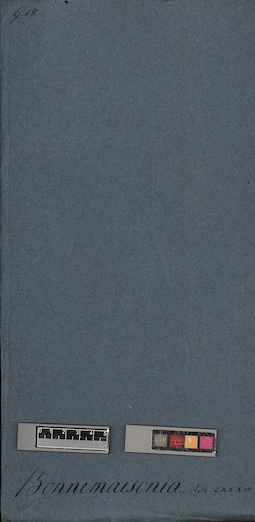 LE A0005328