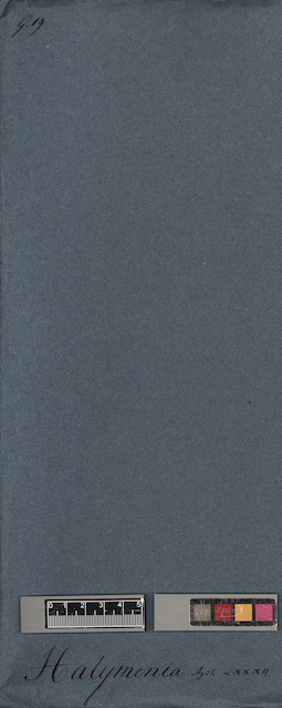 LE A0005332