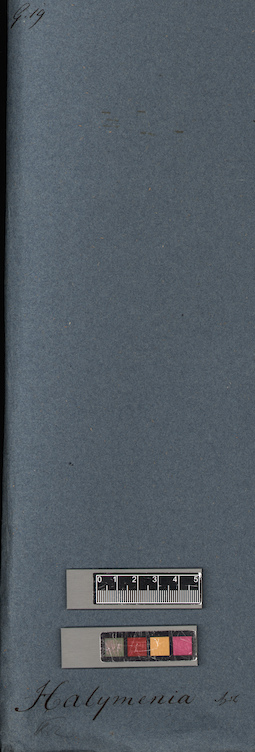 LE A0005373