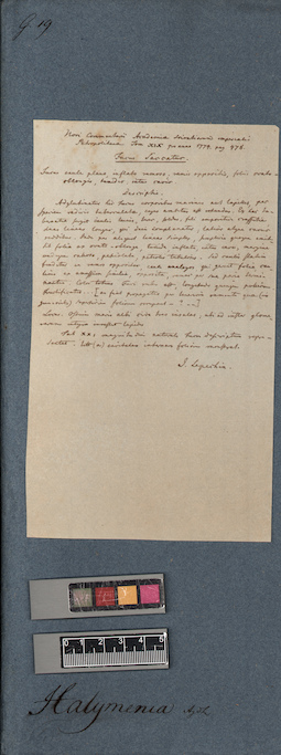 LE A0005391