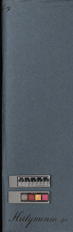 LE A0005430