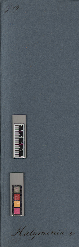LE A0005453