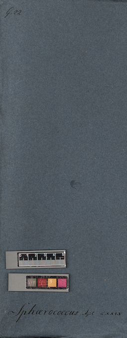 LE A0005476