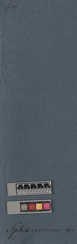 LE A0005477