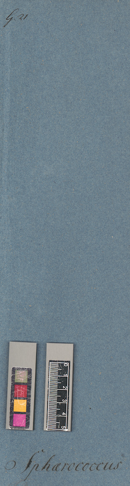 LE A0005491