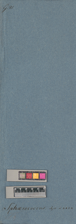 LE A0005500