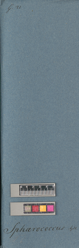 LE A0005649