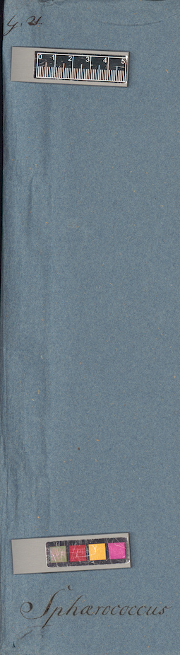 LE A0005707