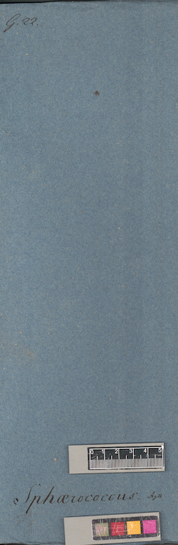 LE A0005720