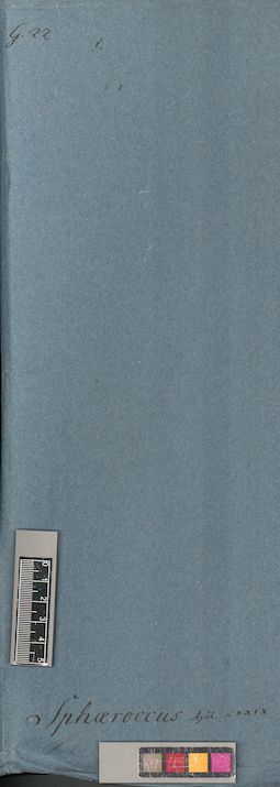 LE A0005889