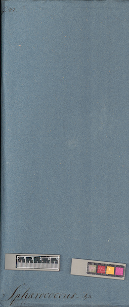 LE A0005903