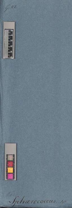 LE A0005934