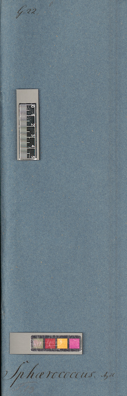 LE A0005955