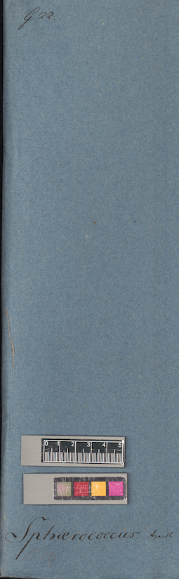 LE A0006008