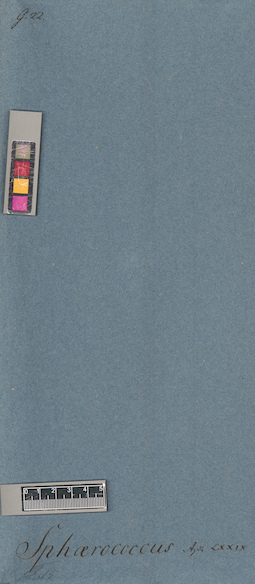 LE A0006033