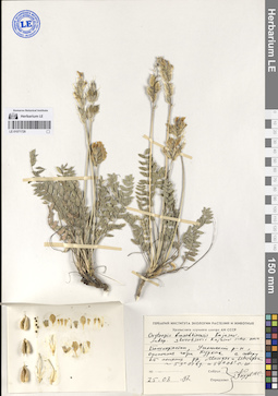 LE 01071729