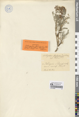LE 01193203