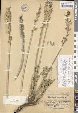 LE 01209227