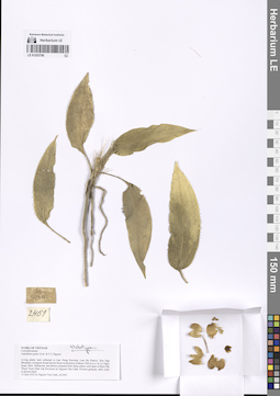 LE 01253756