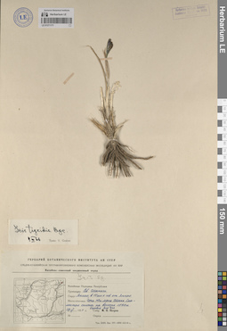 LE 01271171