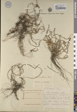 LE 01271201