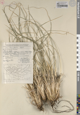 LE 01271046