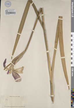 LE 01271234