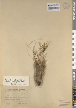 LE 01271051