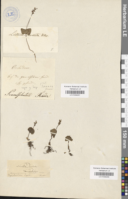 LE 01034231