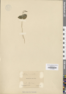 LE 01034264