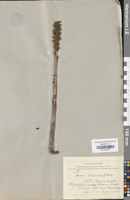 LE 01034273