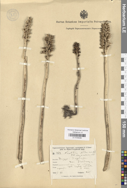 LE 01034280