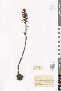 LE 01034287