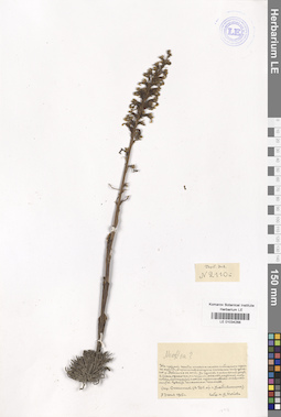 LE 01034288