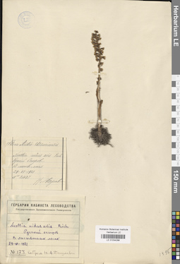 LE 01034298